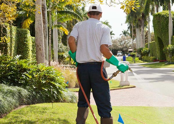 About Liverpool PA Pest Control